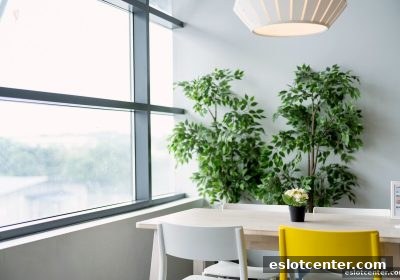电子游艺场所里的桌游沟通训练场：规则讲解、策略协同与社交迁移
