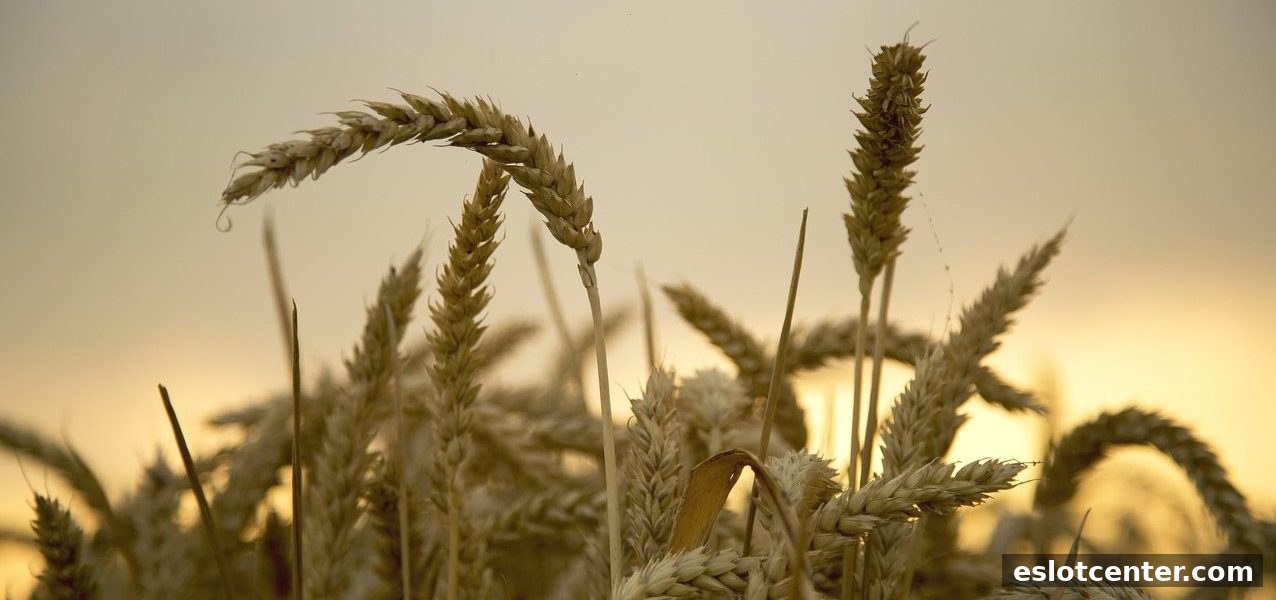 电子游艺场所深度解读：12bet每日返现福利全解析