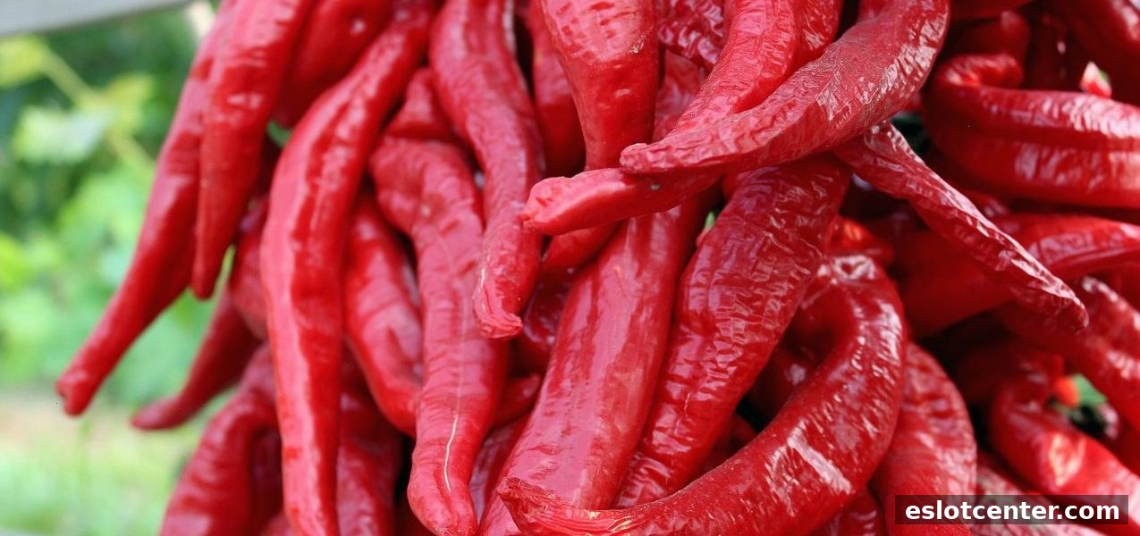电子游艺场所每日签到奖励发放机制与领取全攻略