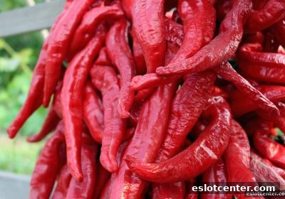 电子游艺场所每日签到奖励发放机制与领取全攻略