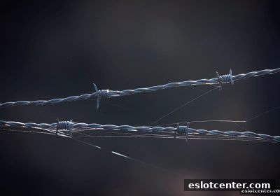 电子游艺场所的风险识别与权益维护：从黑平台特征到合规参与指南
