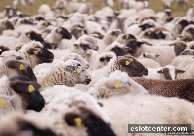 电子游艺场所视角下的英超经典对决：永载史册的绿茵传奇